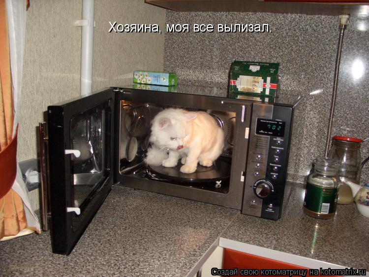 Хозяина, моя все вылизал.... Котоматрица: Хозяина, моя все вылизал.