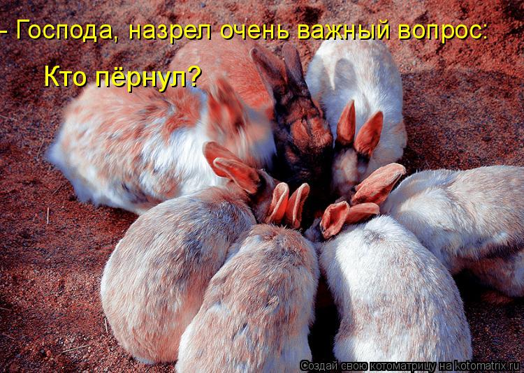 - Господа, назрел очень важный вопрос: Кто пёрнул?... Котоматрица: - Господа, назрел очень важный вопрос: Кто пёрнул?