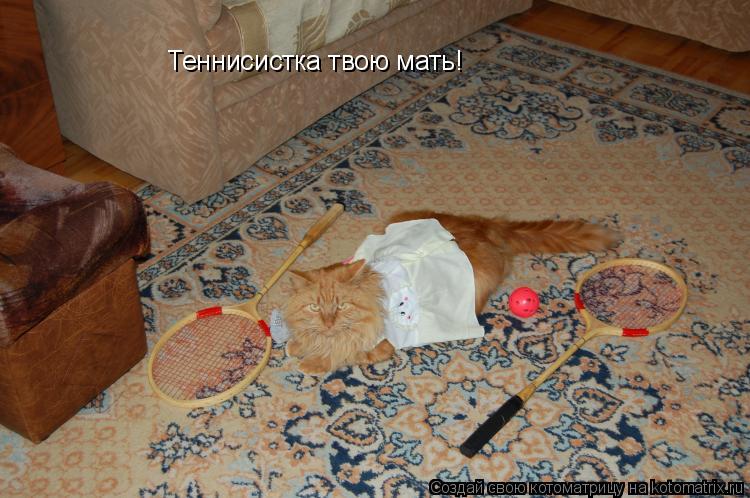 Теннисистка твою мать!... Котоматрица: Теннисистка твою мать!