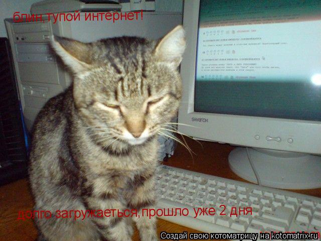 блин,тупой интернет! блин,тупой интернет! долго загружаеться,прошло уже 2 дня... Котоматрица: блин,тупой интернет! блин,тупой интернет! долго загружаеться,прошло уже 2 дня