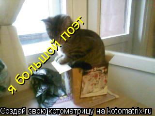 я большой поэт... Котоматрица: я большой поэт