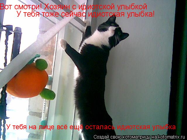 Котоматрица: Вот смотри! Хозяин с идиотской улыбкой У тебя тоже сейчас идиотская улыбка! У тебя на лице всё ещё осталась идиотская улыбка