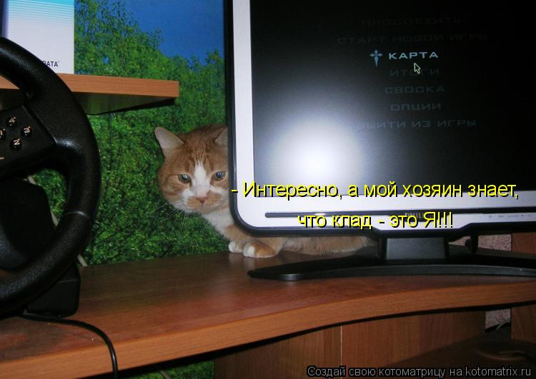- Интересно, а мой хозяин знает, что клад - это Я!!!... Котоматрица: - Интересно, а мой хозяин знает, что клад - это Я!!!