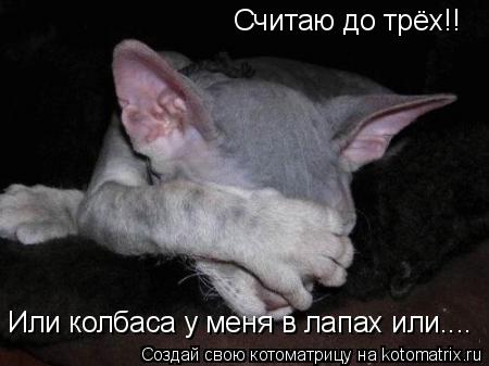 Котоматрица: Считаю до трёх!! Или колбаса у меня в лапах или....