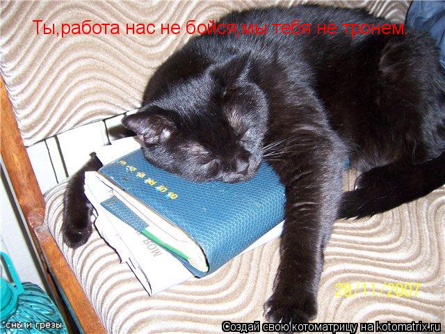 Ты,работа нас не бойся,мы тебя не тронем.... Котоматрица: Ты,работа нас не бойся,мы тебя не тронем.