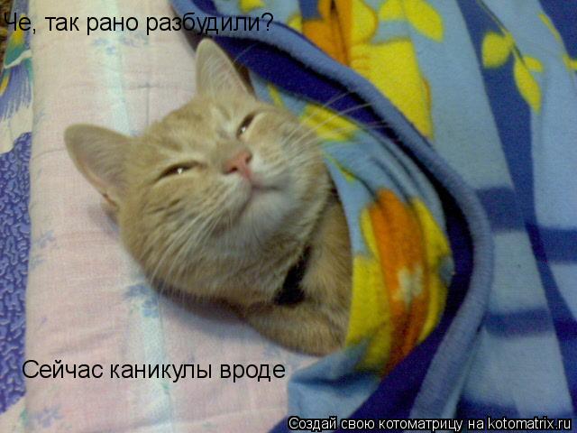 Котоматрица: Че, так рано разбудили? Сейчас каникулы вроде