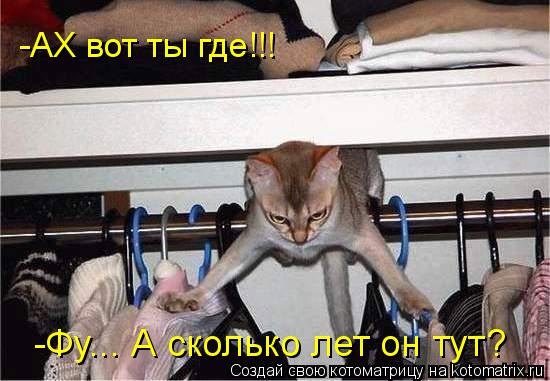 Котоматрица: -Фу... А сколько лет он тут? -АХ вот ты где!!!