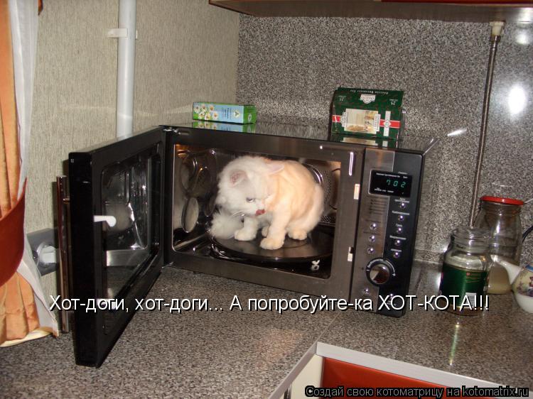 Хот-доги, хот-доги... А попробуйте-ка ХОТ-КОТА!!!... Котоматрица: Хот-доги, хот-доги... А попробуйте-ка ХОТ-КОТА!!!