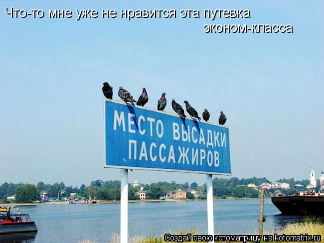 Котоматрица: Что-то мне уже не нравится эта путевка эконом-класса