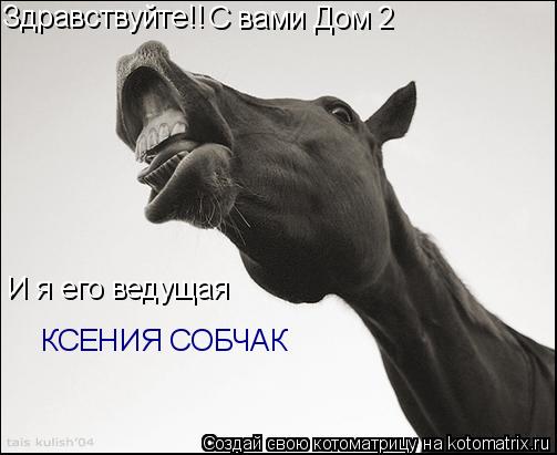 Котоматрица: Здравствуйте!! С вами Дом 2 И я его ведущая КСЕНИЯ СОБЧАК