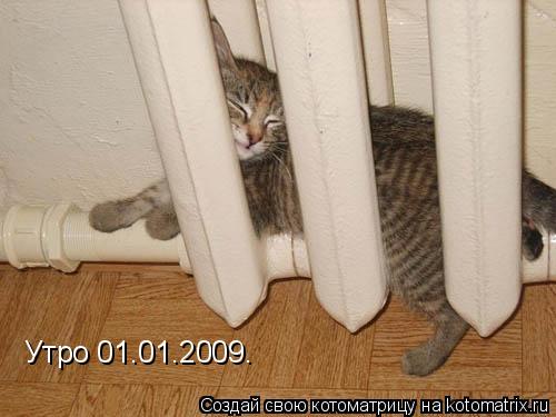 Котоматрица: Утро 01.01.2009.