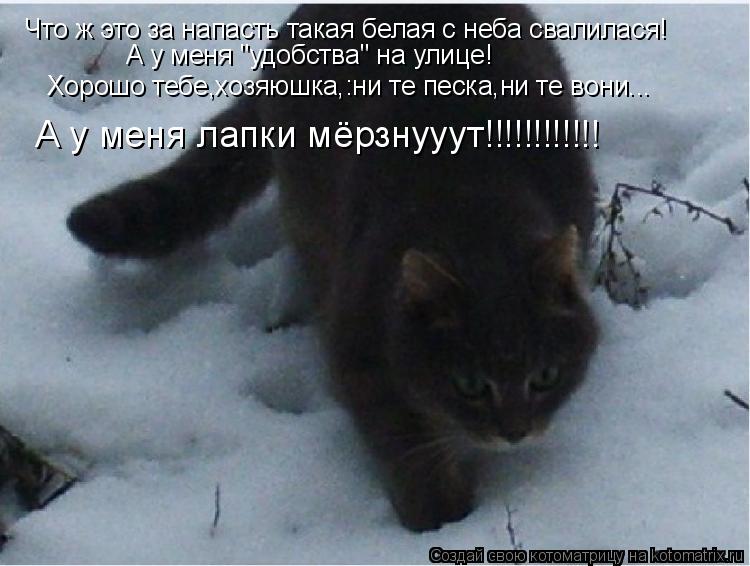 Что ж это за напасть такая белая с неба свалилася! А у меня "удобства" на улице! А у меня лапки мёрзн... Котоматрица: Что ж это за напасть такая белая с неба свалилася! А у меня "удобства" на улице! А у меня лапки мёрзнууут!!!!!!!!!!!! Хорошо тебе,хозяюшка,:ни те пес