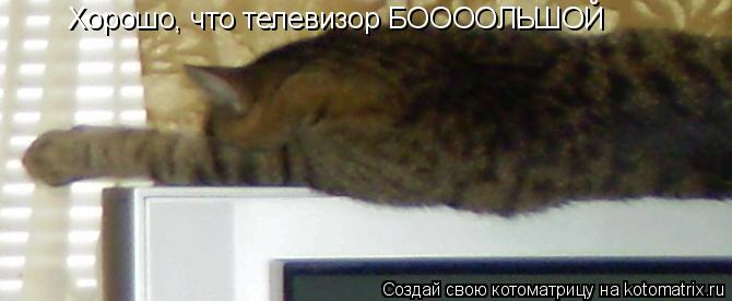 Хорошо, что телевизор БООООЛЬШОЙ... Котоматрица: Хорошо, что телевизор БООООЛЬШОЙ