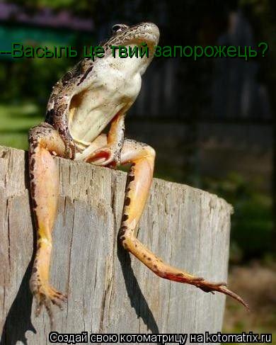 --Васыль це твий запорожець?... Котоматрица: --Васыль це твий запорожець?