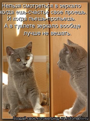 Нельзя смотреться в зеркало когда ешь-счастье свое проешь. И когда пьешь-пропьешь. А в туалете зеркал... Котоматрица: Нельзя смотреться в зеркало когда ешь-счастье свое проешь. И когда пьешь-пропьешь. А в туалете зеркало вообще лучше не вешать.