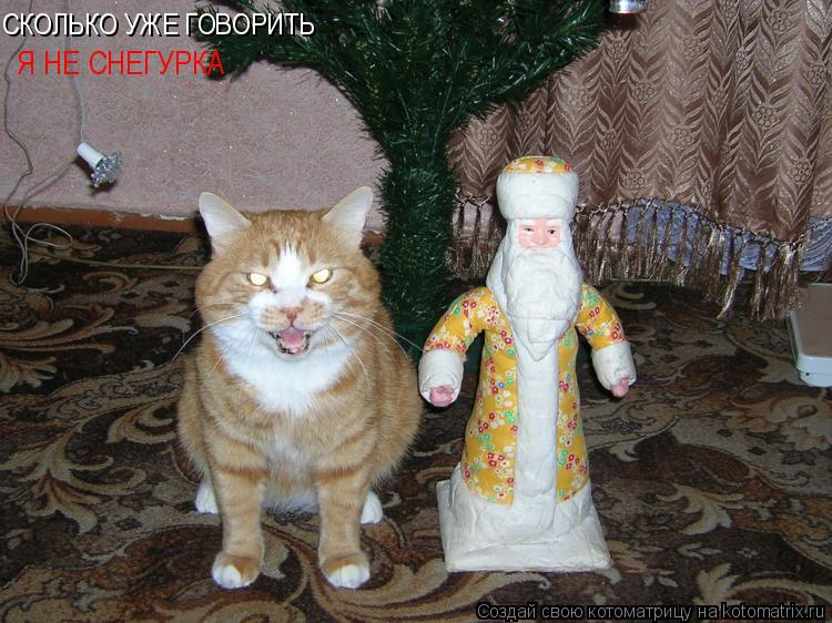 СКОЛЬКО УЖЕ ГОВОРИТЬ Я НЕ СНЕГУРКА... Котоматрица: СКОЛЬКО УЖЕ ГОВОРИТЬ Я НЕ СНЕГУРКА