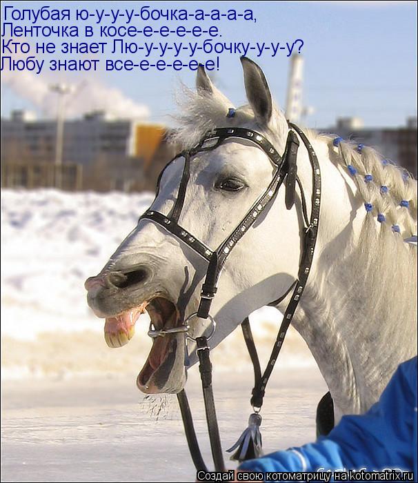 Голубая ю-у-у-у-бочка-а-а-а-а, Ленточка в косе-е-е-е-е-е. Кто не знает Лю-у-у-у-у-бочку-у-у-у? Любу з... Котоматрица: Голубая ю-у-у-у-бочка-а-а-а-а, Ленточка в косе-е-е-е-е-е. Кто не знает Лю-у-у-у-у-бочку-у-у-у? Любу знают все-е-е-е-е-е!