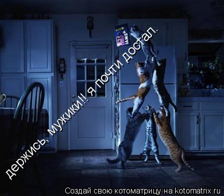 Котоматрица: держись, мужики!! я почти достал.