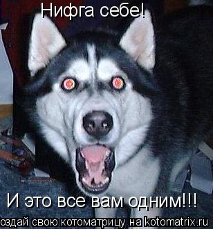 Котоматрица: Нифга себе! И это все вам одним!!!