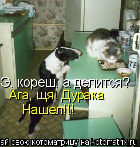 Э, кореш, а делится? Ага, щя! Дурака Нашел!!!... Котоматрица: Э, кореш, а делится? Ага, щя! Дурака Нашел!!!