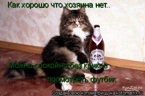 Как хорошо что хозяина нет.. Можно спокойно,без криков посмотреть футбик...... Котоматрица: Как хорошо что хозяина нет.. Можно спокойно,без криков посмотреть футбик...