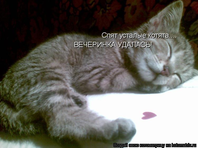 Спят усталые котята.... ВЕЧЕРИНКА УДАЛАСЬ!... Котоматрица: Спят усталые котята.... ВЕЧЕРИНКА УДАЛАСЬ!