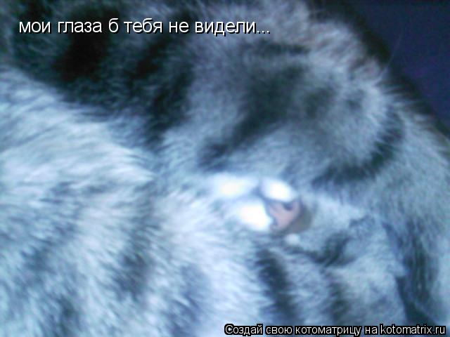 Котоматрица: мои глаза б тебя не видели...