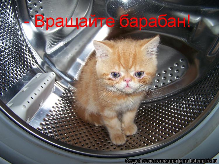 Котоматрица: - Вращайте барабан!