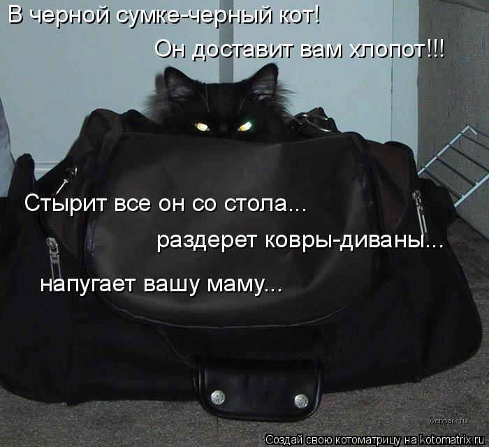 В черной сумке-черный кот! Он доставит вам хлопот!!! Стырит все он со стола... раздерет ковры-диваны.... Котоматрица: В черной сумке-черный кот! Он доставит вам хлопот!!! Стырит все он со стола... раздерет ковры-диваны... напугает вашу маму...