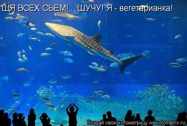 Котоматрица: ЩЯ ВСЕХ СЬЕМ!... ШУЧУ! Я - вегетарианка!