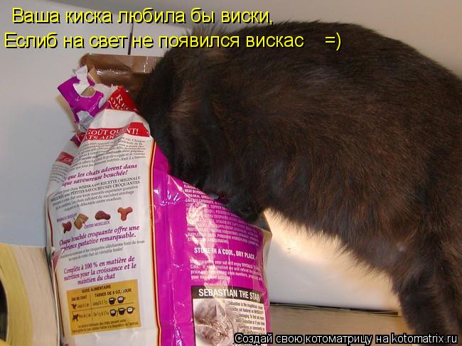 Ваша киска любила бы виски, Еслиб на свет не появился вискас =)... Котоматрица: Ваша киска любила бы виски, Еслиб на свет не появился вискас =)