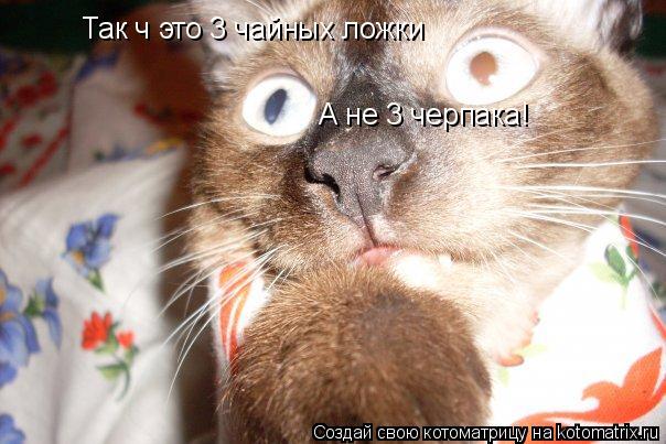 Так ч это 3 чайных ложки А не 3 черпака!... Котоматрица: Так ч это 3 чайных ложки А не 3 черпака!