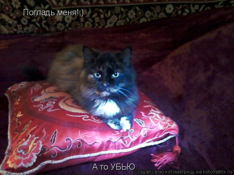 Котоматрица: Погладь меня!:) А то УБЬЮ