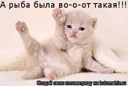 А рыба была во-о-от такая!!!... Котоматрица: А рыба была во-о-от такая!!!