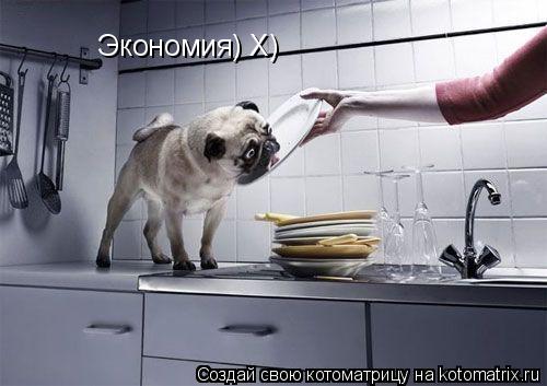 Котоматрица: Экономия) Х)