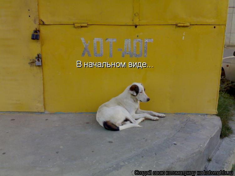 В начальном виде...... Котоматрица: В начальном виде...