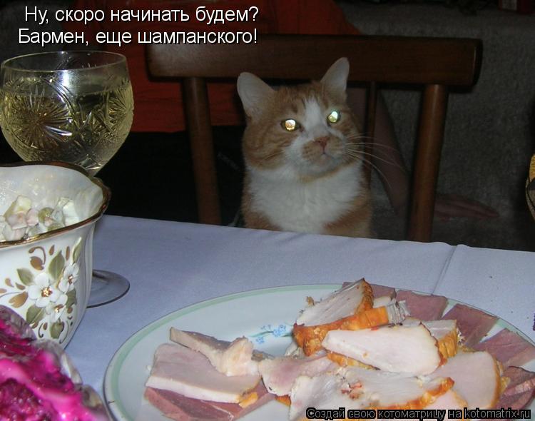Котоматрица: Ну, скоро начинать будем? Бармен, еще шампанского!