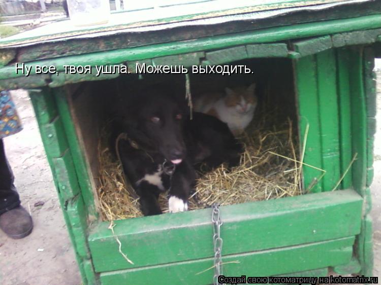 Котоматрица: Ну все, твоя ушла. Можешь выходить.