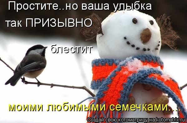 Простите..но ваша улыбка так ПРИЗЫВНО блестит моими любимыми семечками....... Котоматрица: Простите..но ваша улыбка так ПРИЗЫВНО блестит моими любимыми семечками....
