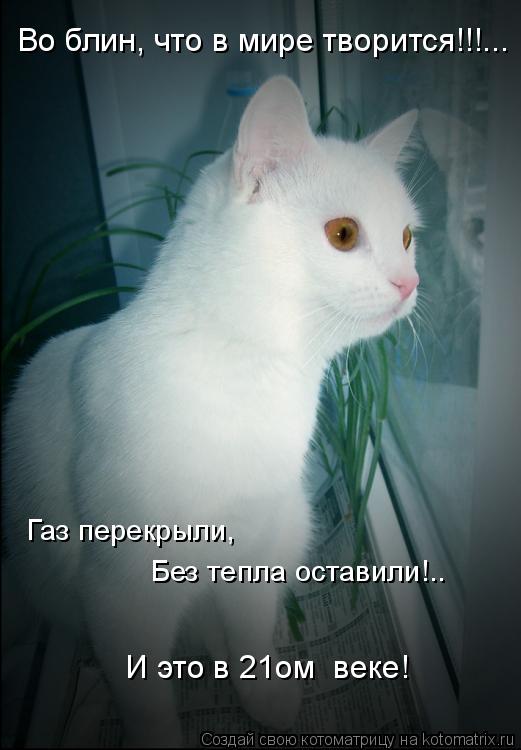 Во блин, что в мире творится!!!... Газ перекрыли, Без тепла оставили!.. И это в 21ом веке!... Котоматрица: Во блин, что в мире творится!!!... Газ перекрыли, Без тепла оставили!.. И это в 21ом веке!