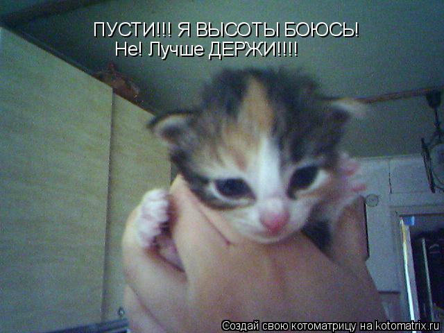 ПУСТИ!!! Я ВЫСОТЫ БОЮСЬ! Не! Лучше ДЕРЖИ!!!!... Котоматрица: ПУСТИ!!! Я ВЫСОТЫ БОЮСЬ! Не! Лучше ДЕРЖИ!!!!