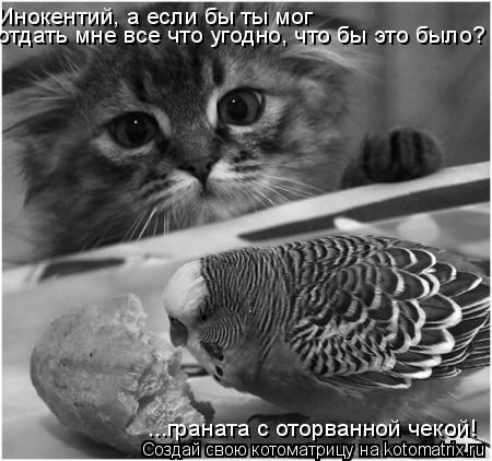 Котоматрица: Инокентий, а если бы ты мог  отдать мне все что угодно, что бы это было? ...граната с оторванной чекой!