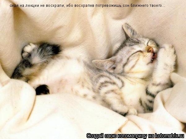 сидя на лекции не восхрапи, ибо восхрапев потревожишь сон ближнего твоего...... Котоматрица: сидя на лекции не восхрапи, ибо восхрапев потревожишь сон ближнего твоего...