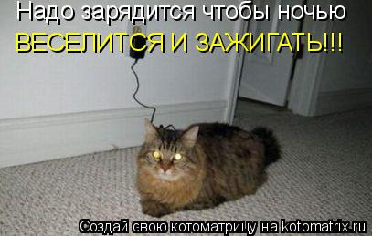 Котоматрица: Надо зарядится чтобы ночью ВЕСЕЛИТСЯ И ЗАЖИГАТЬ!!!