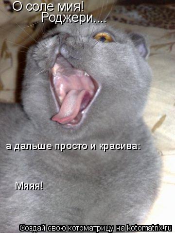 О соле мия! Роджери.... а дальше просто и красива: Мяяя!... Котоматрица: О соле мия! Роджери.... а дальше просто и красива: Мяяя!