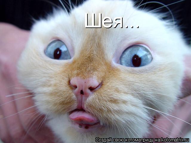Шея...... Котоматрица: Шея...