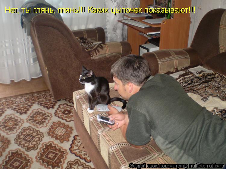 Котоматрица: Нет, ты глянь, глянь!!! Каких цыпочек показывают!!!