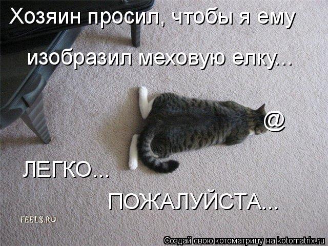 Хозяин просил, чтобы я ему изобразил меховую елку... ЛЕГКО... ПОЖАЛУЙСТА... @... Котоматрица: Хозяин просил, чтобы я ему изобразил меховую елку... ЛЕГКО... ПОЖАЛУЙСТА... @