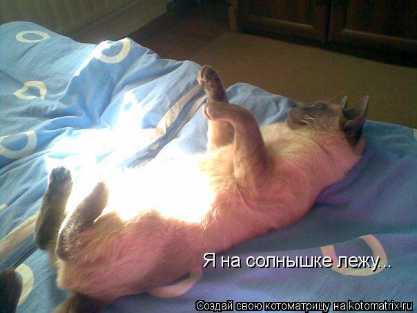 Я на солнышке лежу...... Котоматрица: Я на солнышке лежу...