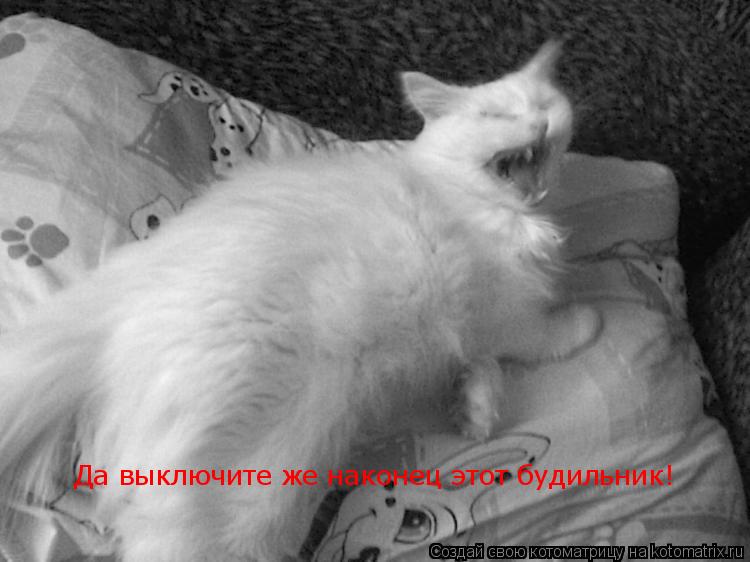 Котоматрица: Да выключите же наконец этот будильник!